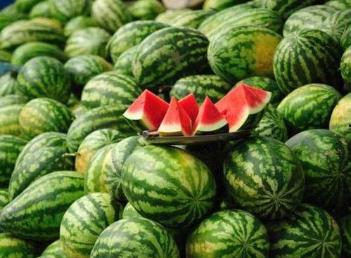 青海网红吃瓜事件真相揭秘,揭秘背后真相与争议 第2张 青海网红吃瓜事件真相揭秘,揭秘背后真相与争议 第2张