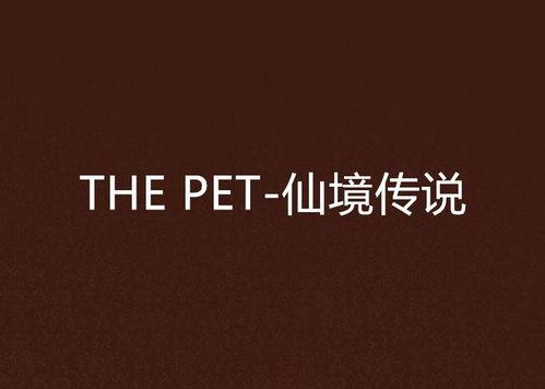 the pet在线观看,跟随the pet在线之旅
